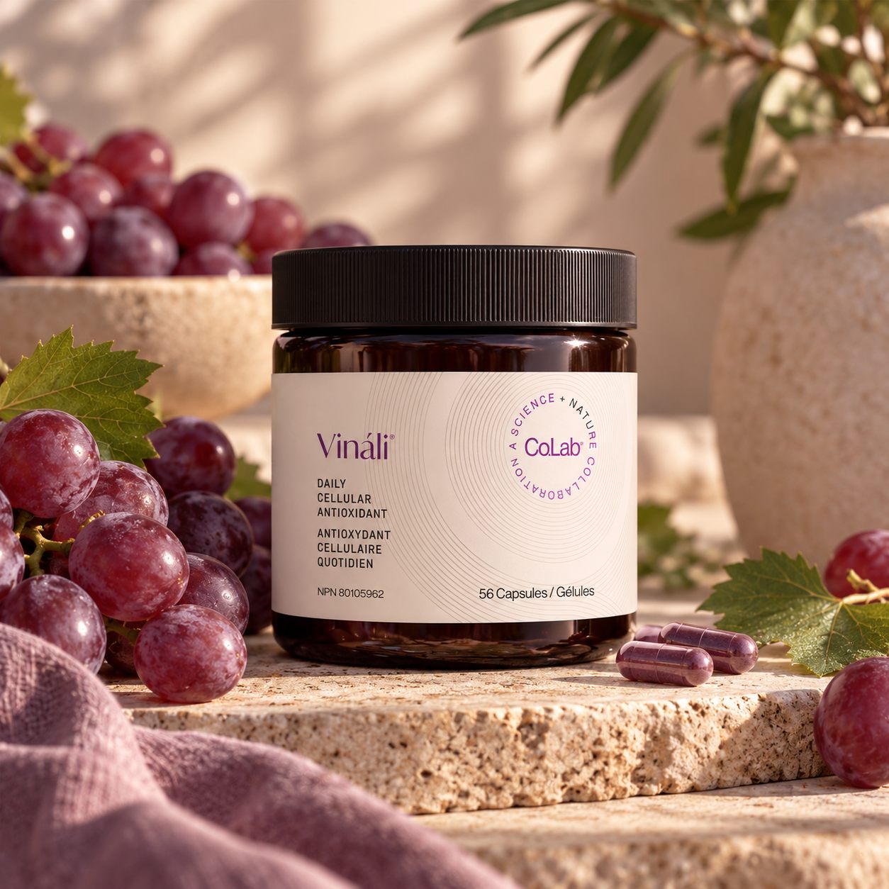 Vinali, antioxydant cellulaire à base de pépins de raisin